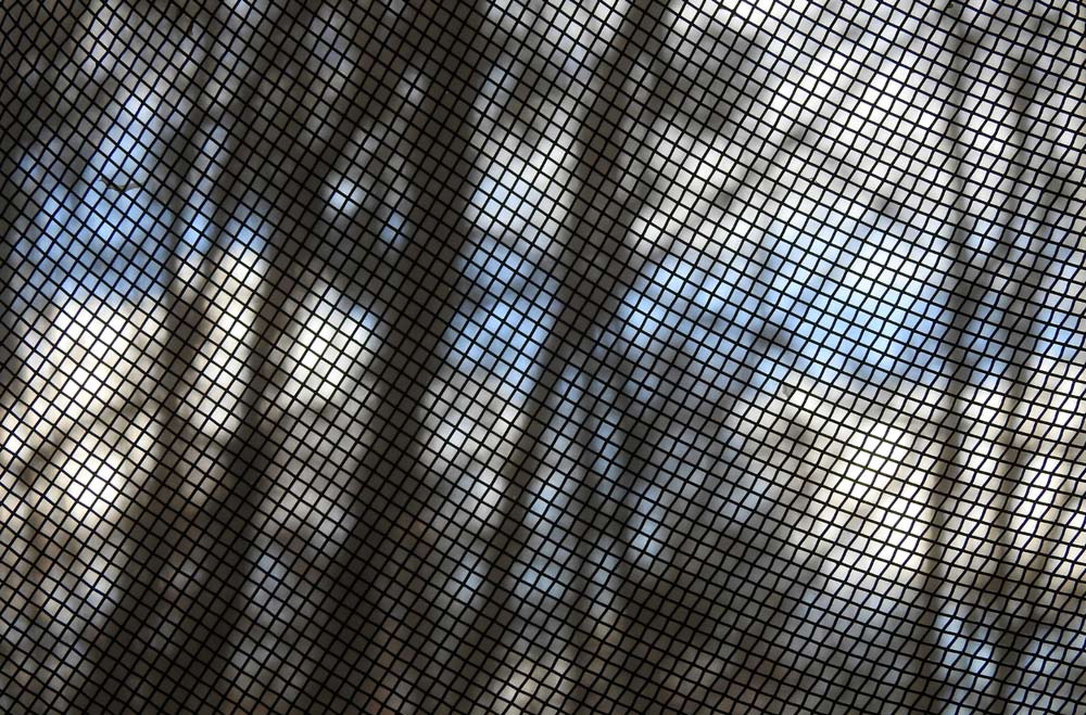 Close-up Of A Flyscreens