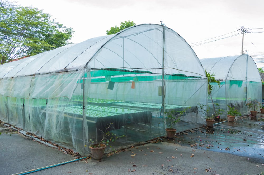 Exploring The Best Greenhouse Coverings For Optimal Plant Growth